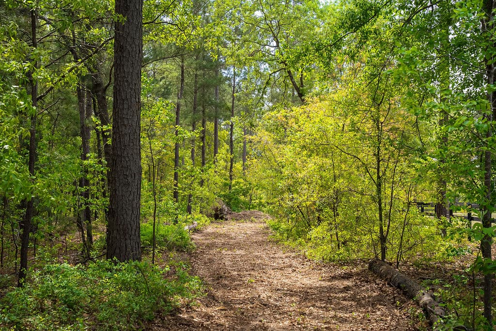 Quarter-mile training trail on the Menden Equestrian property